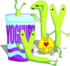 bacteria and yoghurt