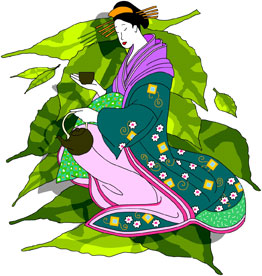 green tea geisha
