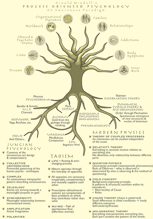 process oriented psychology poster