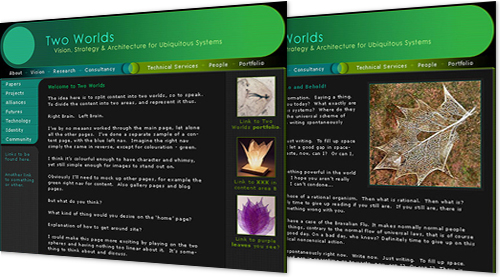 screengrabs for two worlds website design