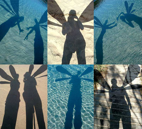 lots of shadow faeries