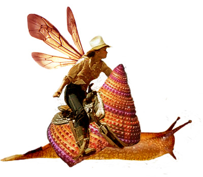 faery on a snail