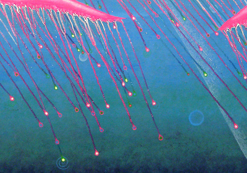 jellyfish tentacles