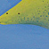 stingray