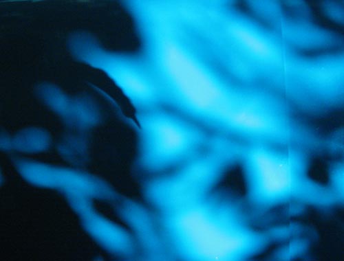 shadows