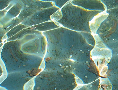 wishing well