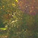 magic garden