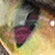 cateye